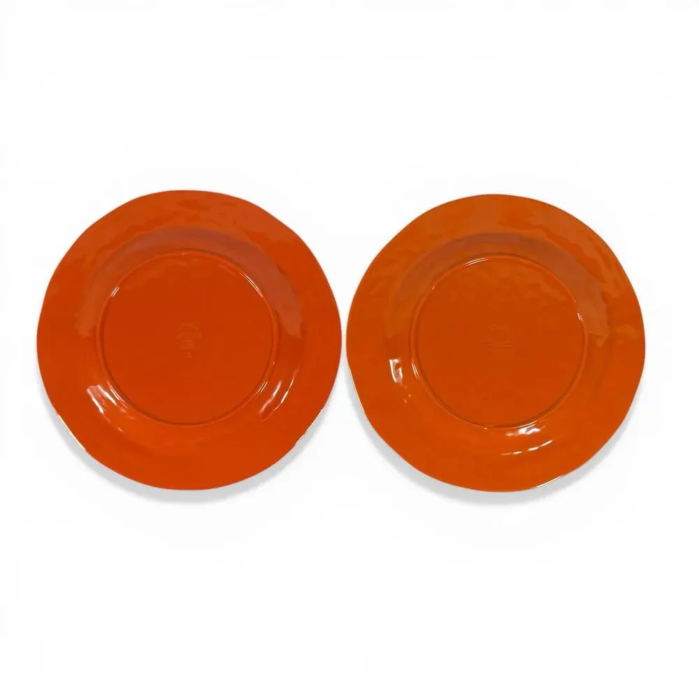 Pier 1 Imports Set of 2 Orange Carmelo Melamine Dinner Plates Crackle Finish